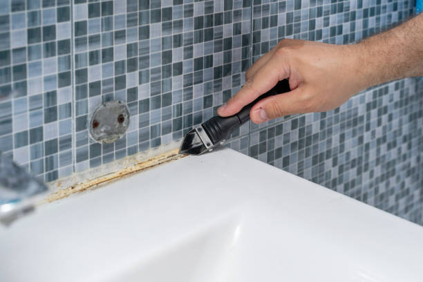Best Mold Remediation  in The Colony, TX